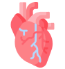 Imagen de un corazón color rojo con  el sistema circulatorio y venas de color azul.