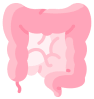 ícono del intestino grueso y delgado en color rosa