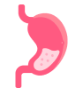 Imagen del estómago en color rojo.