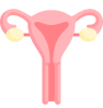 Imagen con fondo gris del aparato reproductor femenino en color rosa y con los ovarios resaltados en amarillo.