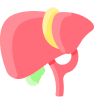 Ícono de un hígado en color rojo y la vesícula en color verde