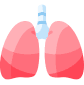Imagen gráfica de los pulmones en color rojo.