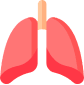 Imagen de los pulmones en color rojo.