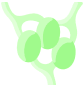 Icono de una bacteria en color verde