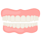 Imagen de una dentadura con encía roja y dientes blancos.