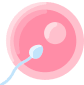 Ícono de un óvulo de color rosa, siendo fecundado por un espermatozoide de color azul