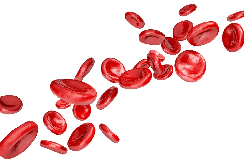 Células sanguíneas representan análisis de hemoglobina glicosilada para control de glucosa en Hospital Angeles Lomas.

