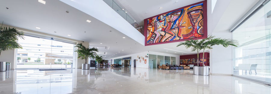 Lobby de Hospital Angeles Acoxpa con paredes pintadas de color blanco, plantas, sala de espera y cuadros de pinturas abstractas